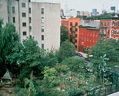 Photograph of a park with trees in a city