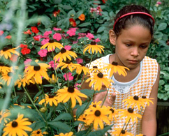 Photograph of a girl in a field with sunflowers
