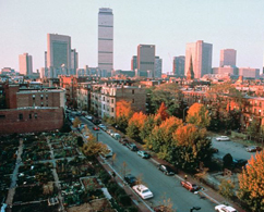 Aerial photograph of a city